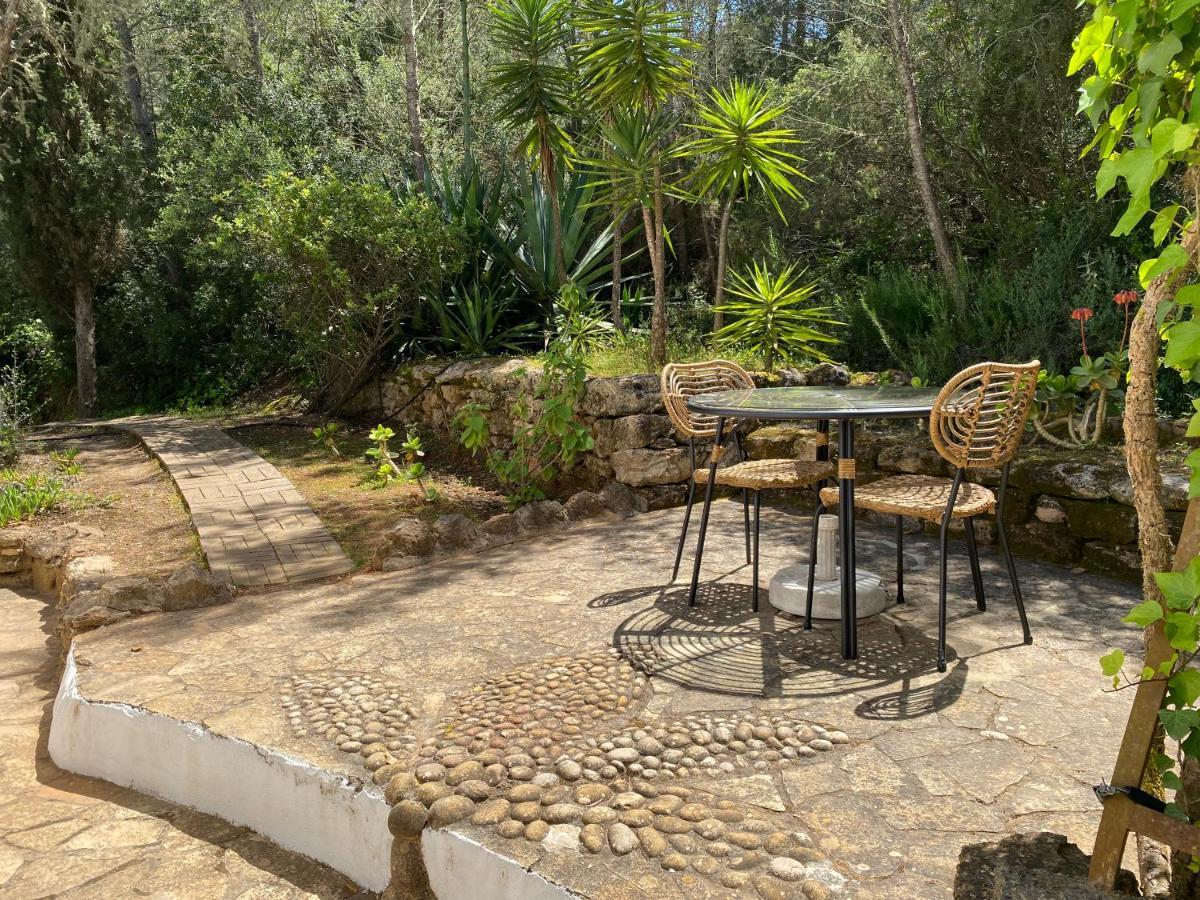 Can Iara Sant Miquel De Balansat Exterior foto